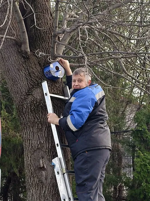 скворешник01