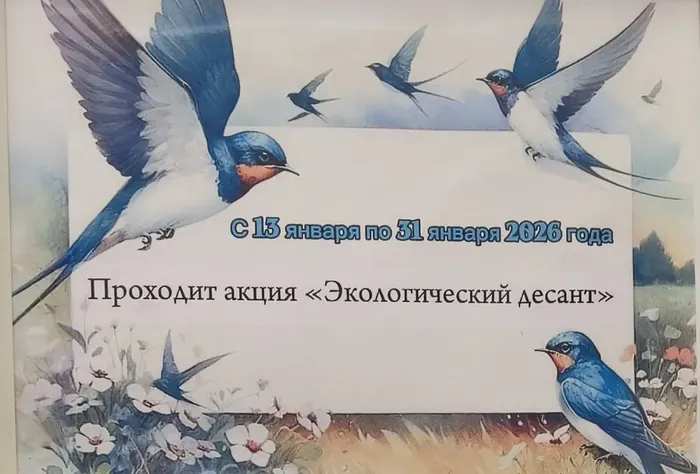 скворешник07